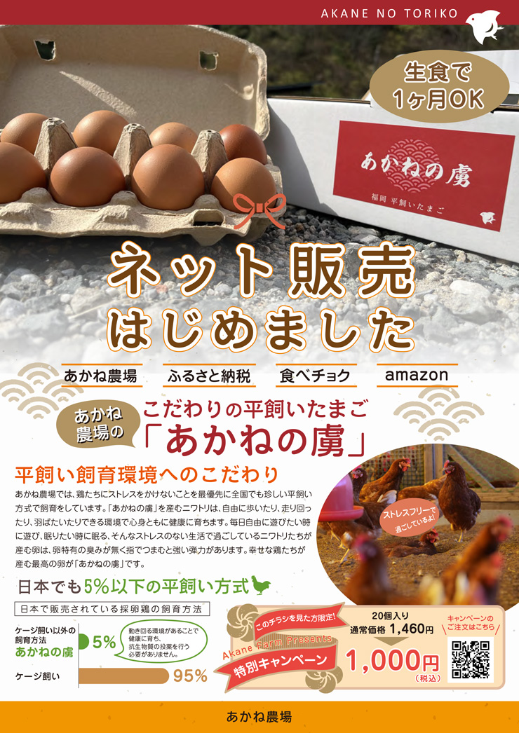 あかねの虜を通販チラシ